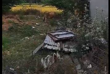 Land for sale in Tiruvannamalai Rs.5000 per sq.ft